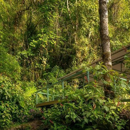 Hotel Quelitales Cachí Kültér fotó